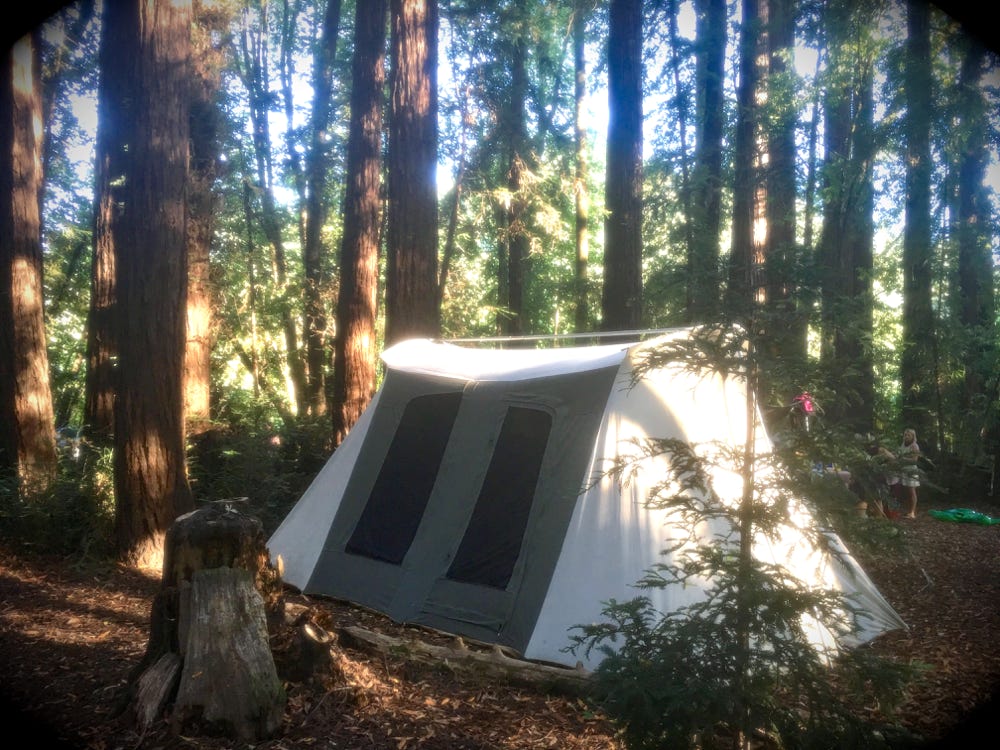 Epic Kodiak tent in morning sun, site 24 Schoolhouse Campground